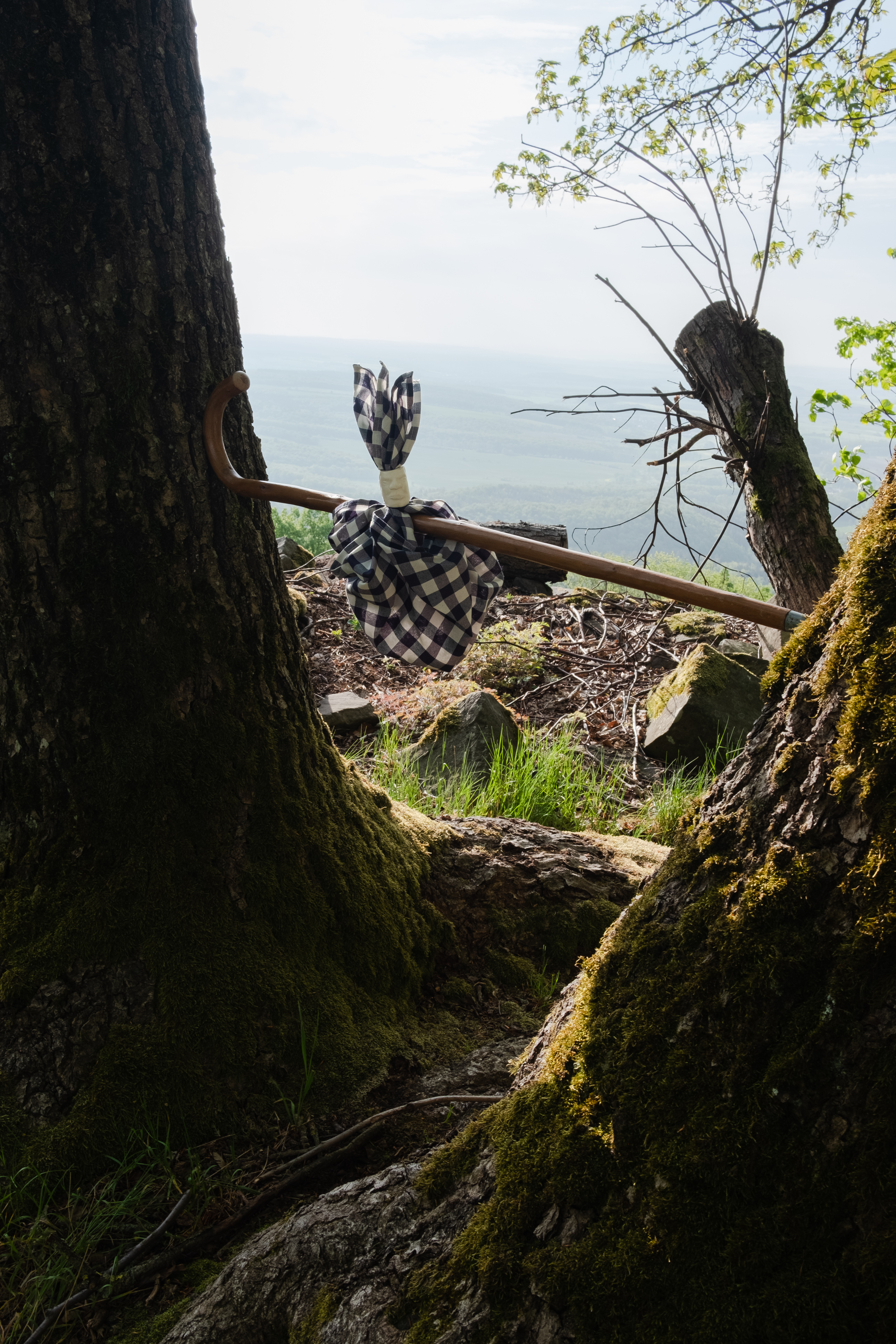 2020 05 Burial Of The White Man For Erik Niedling, Thuringia — Tobi Keck — Jeronim Horvat